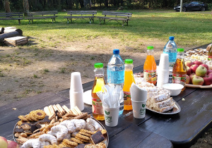 Na leśnej polanie widać długi stół na którym rozstawione są smakołyki: ciasteczka, ciasto drożdżowe, napoje, woda mineralna, jabłka.